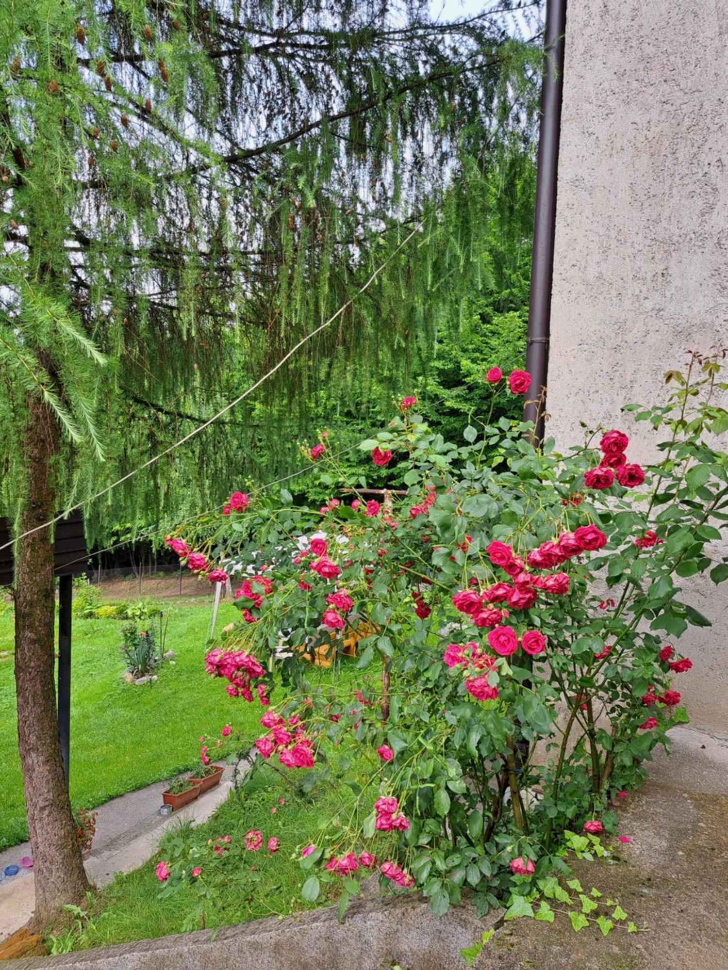 Mala Farma Nani Villa Visoko Exterior foto